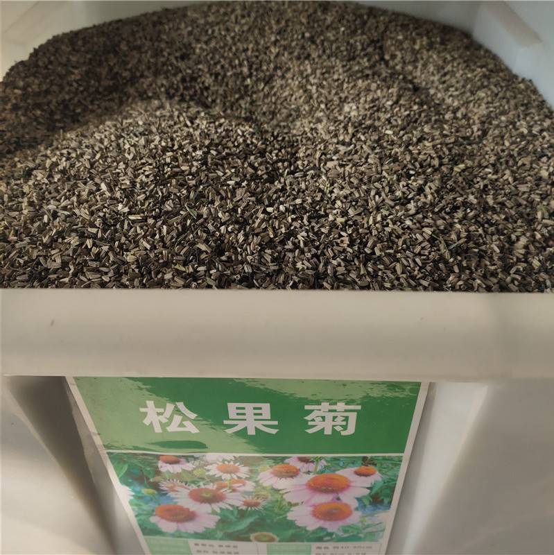 怎么找种子